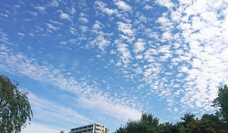 秋の空