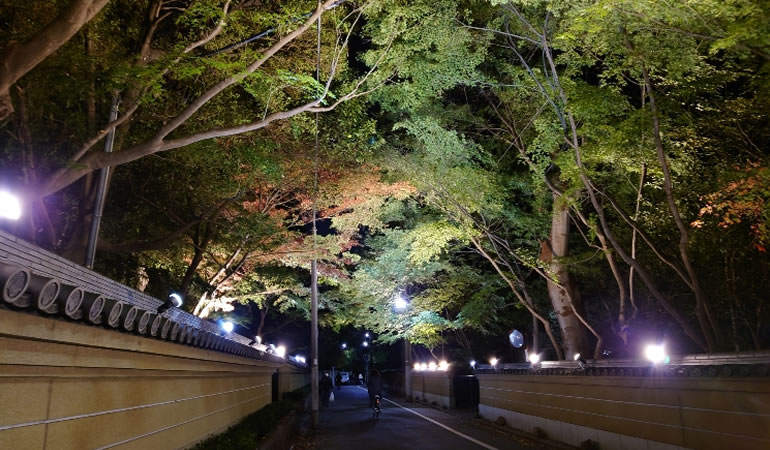 観泉寺脇の道路