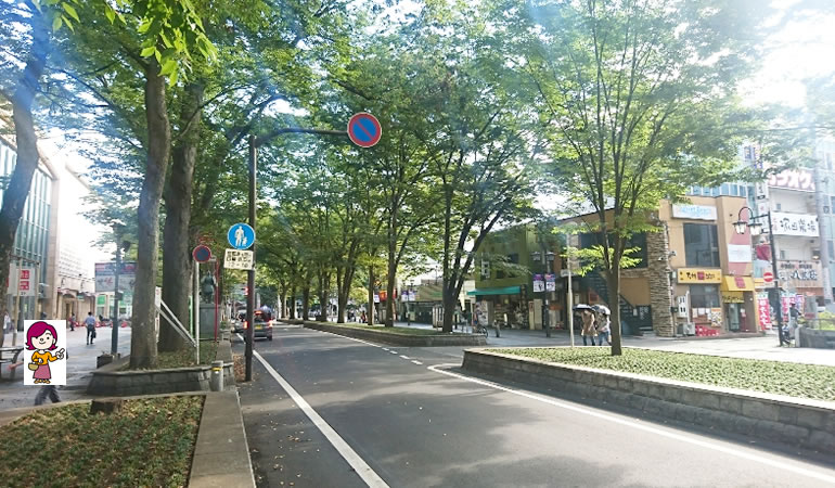 府中駅そばの欅並木