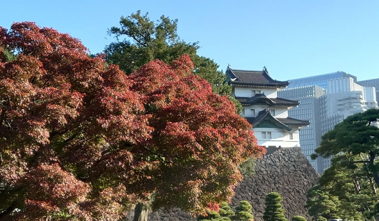 紅葉と櫓のコントラスト