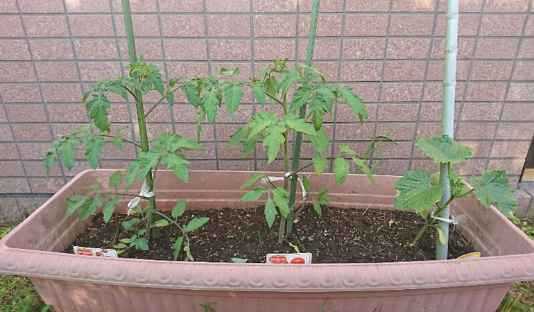 支柱をしました。