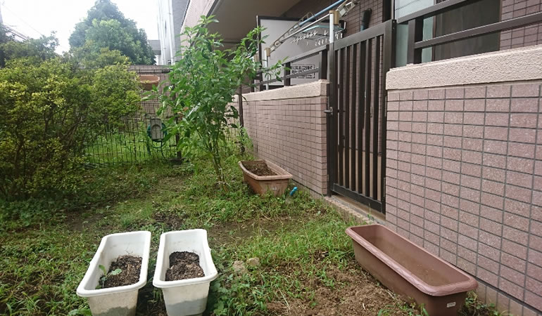 家庭菜園の現状