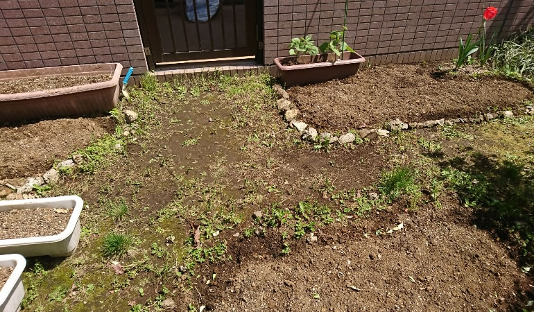 畑の準備ができました。