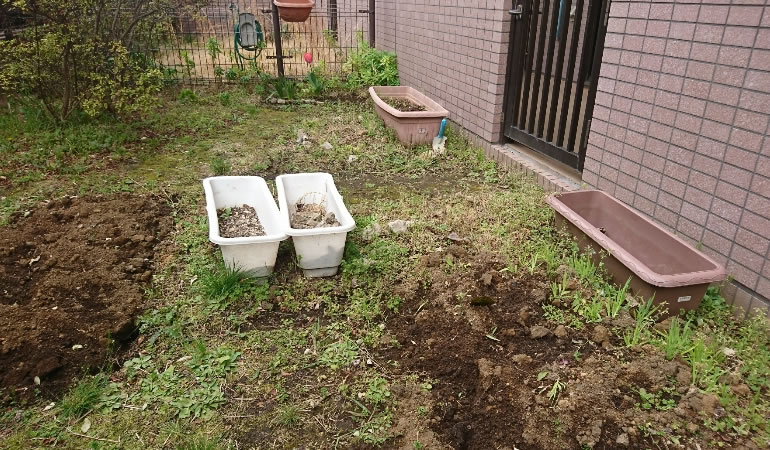 家庭菜園、準備中