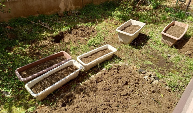 家庭菜園2022　始まりです。