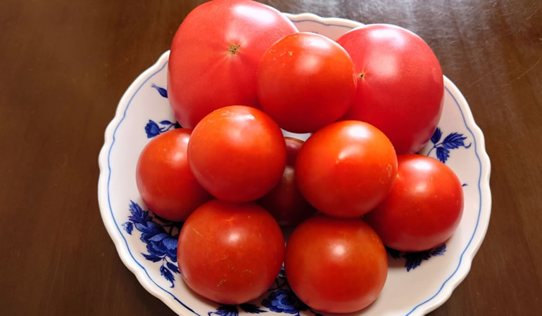 トマト