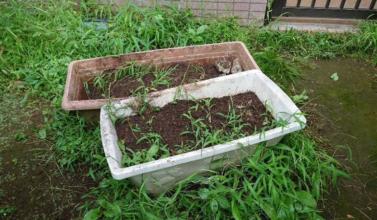 撤去後のプランター