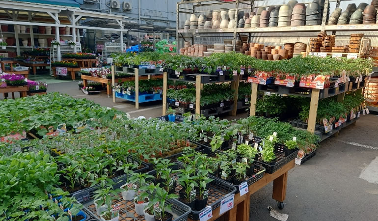 ホームセンター