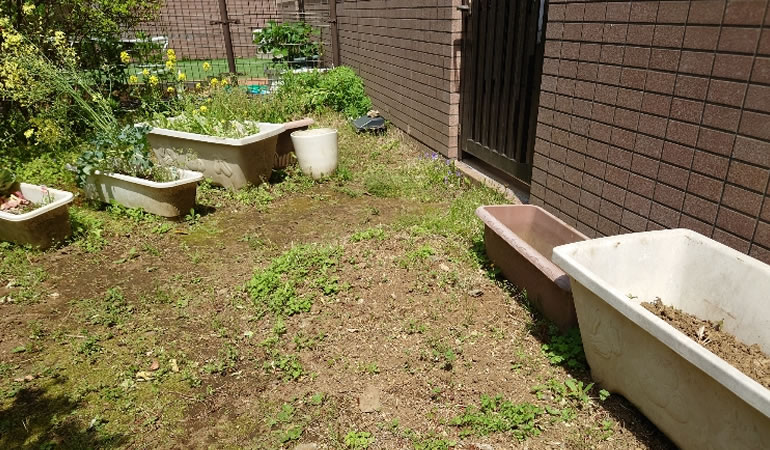 植える前の庭