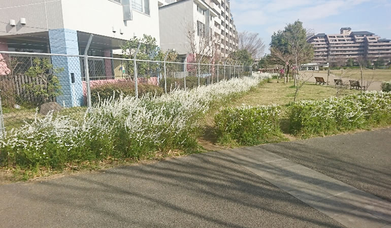 桃井原っぱ公園　その２