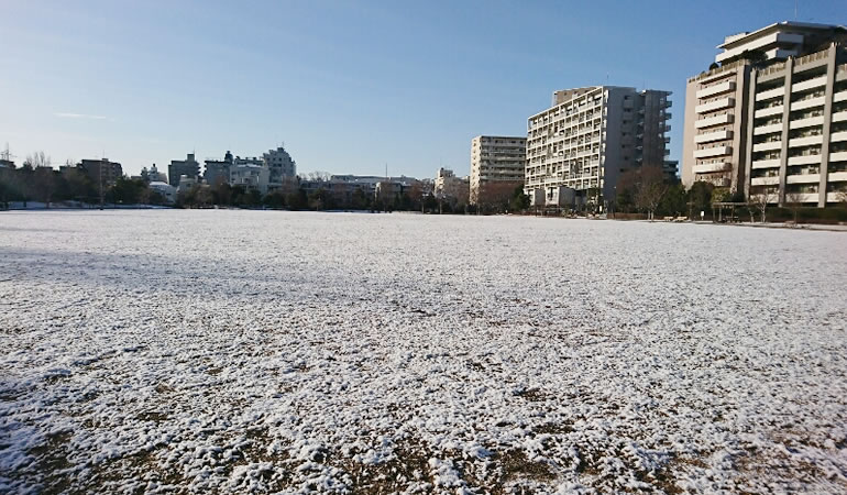 公園の雪景色