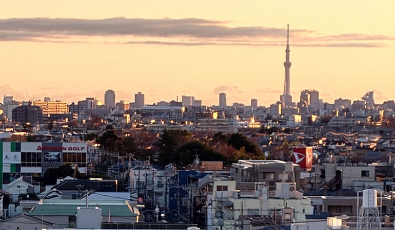 正月の東京スカイツリーの遠望