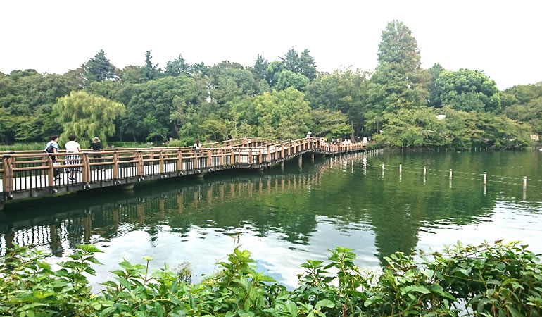 三鷹市と武蔵野市にまたがる井の頭公園。