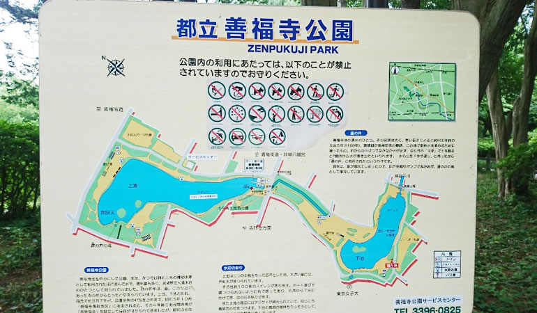 都立 善福寺公園